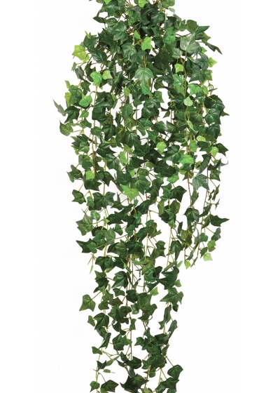English ivy hanging bush 85 cm