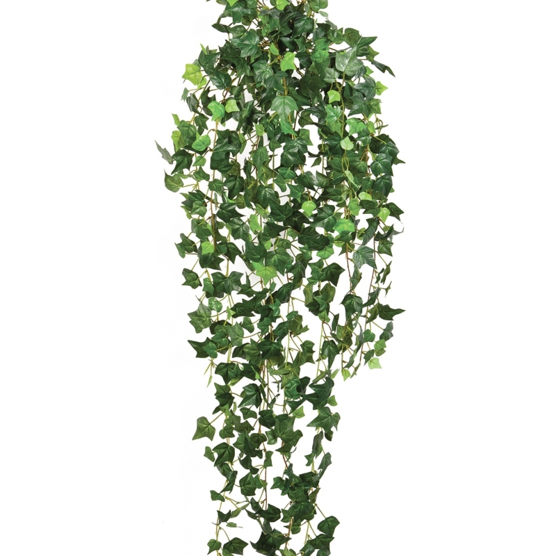 English ivy hanging bush 85 cm