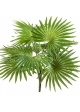FAN PALM BUSH X 10 LEAVES 35 cm