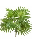 FAN PALM BUSH X 10 LEAVES 35 cm