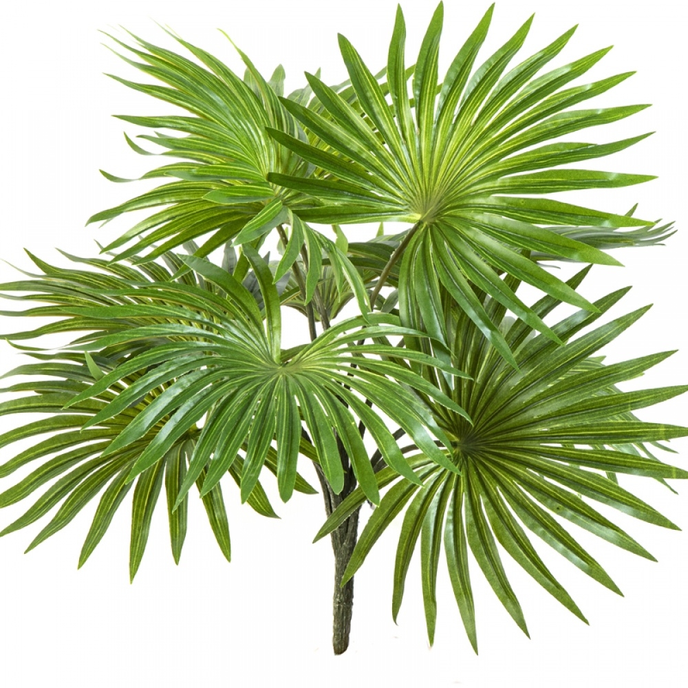 FAN PALM BUSH X 10 LEAVES 35 cm
