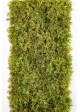 FIRE RETARDANT MOSS CARPET 25 X MIXED GREEN 25 cm
