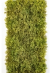 FIRE RETARDANT MOSS CARPET 25 X MIXED GREEN 25 cm