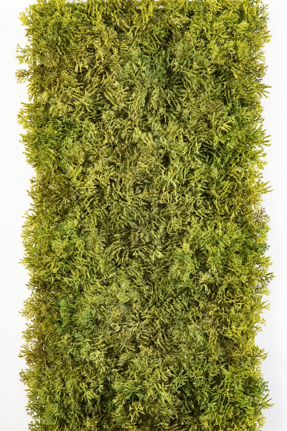 FIRE RETARDANT MOSS CARPET 25 X MIXED GREEN 25 cm