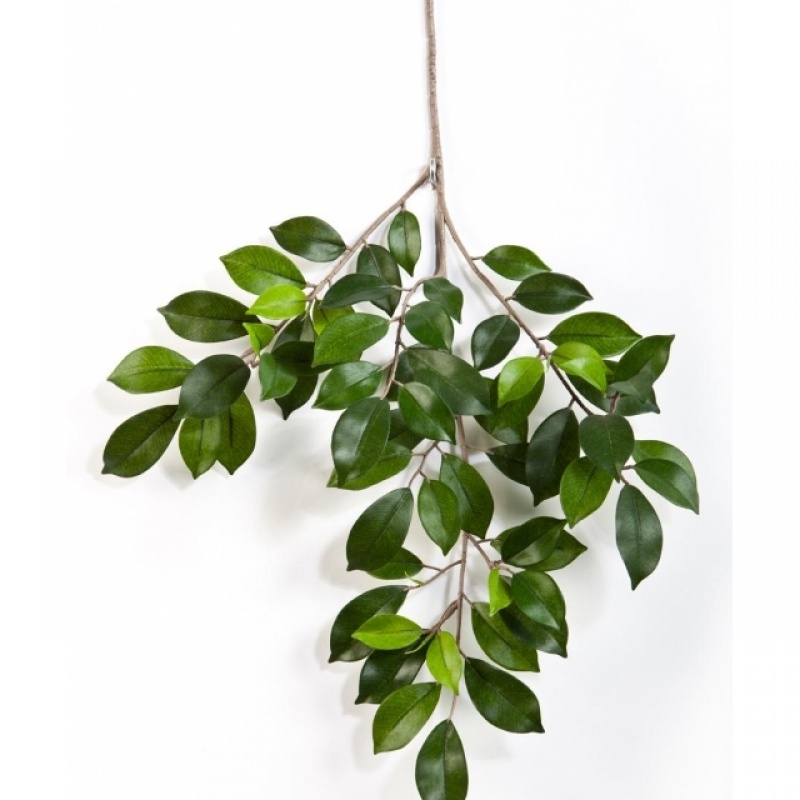 Ficus folia spray 48 cm