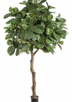 Fiddle Leaf Giant Tree 360 cm