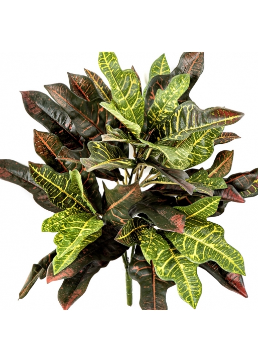 Fire Retardant Croton Bush x 48 50 cm