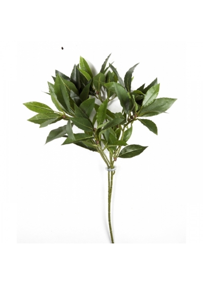 Flame Ret. Laurel bay spray