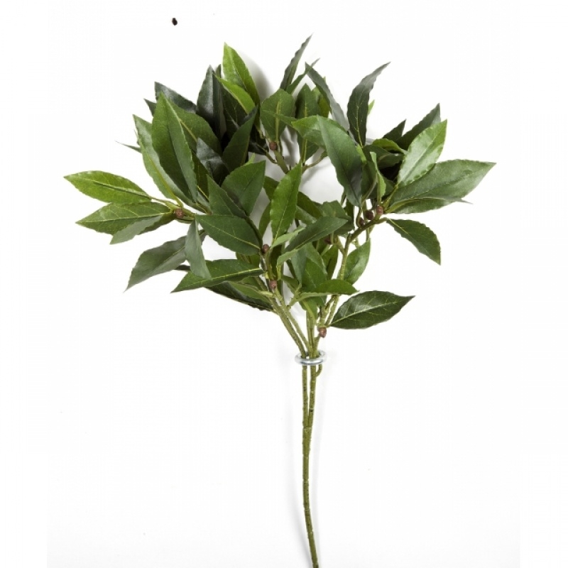 Flame Ret. Laurel bay spray