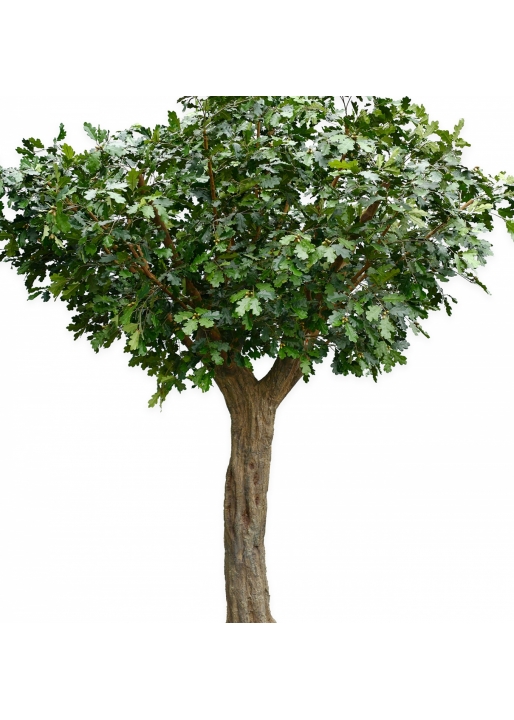Flame Retardant 12' Giant Common Oak Tree 360 cm