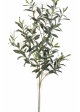Flame Retardant Giant Olive Spray 109 cm