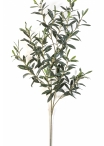Flame Retardant Giant Olive Spray 109 cm