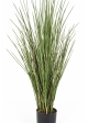 Flame Retardant Honey Grass w/pot 80-120 cm