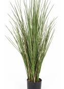 Flame Retardant Honey Grass w/pot 80-120 cm