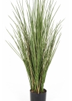 Flame Retardant Honey Grass w/pot 80-120 cm