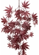 Flame Retardant Maple Spray Red 71 cm