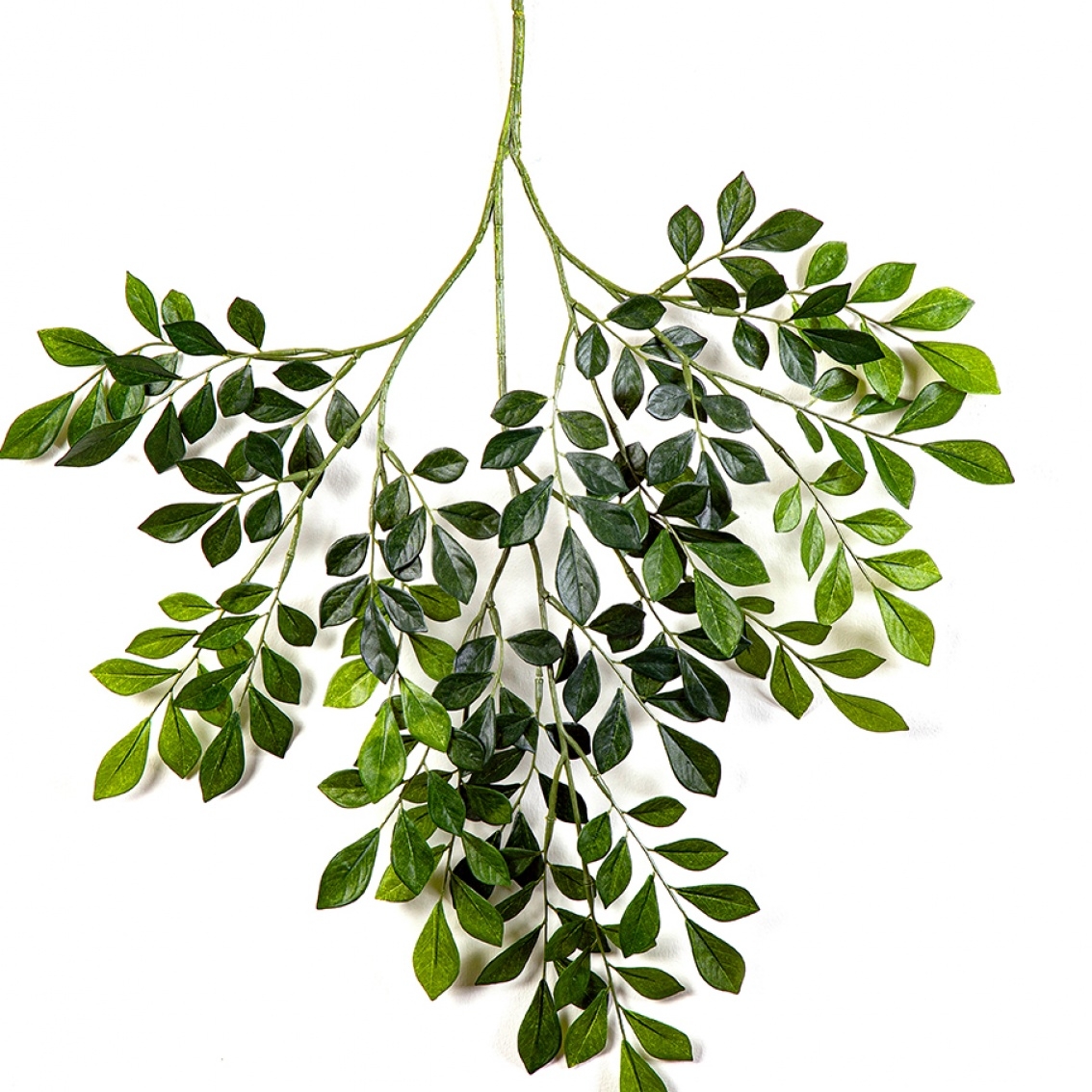 Flame Retardant Murraye Spray 71 cm