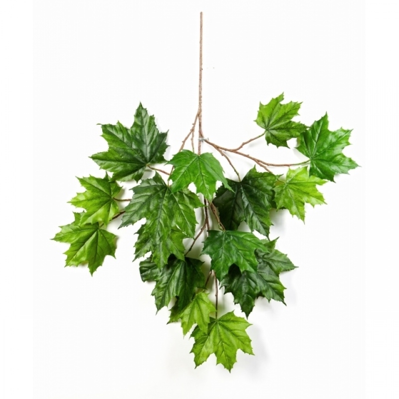 Flame Retardant North Maple Spray 72 cm