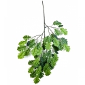 Flame Retardant Oak Spray