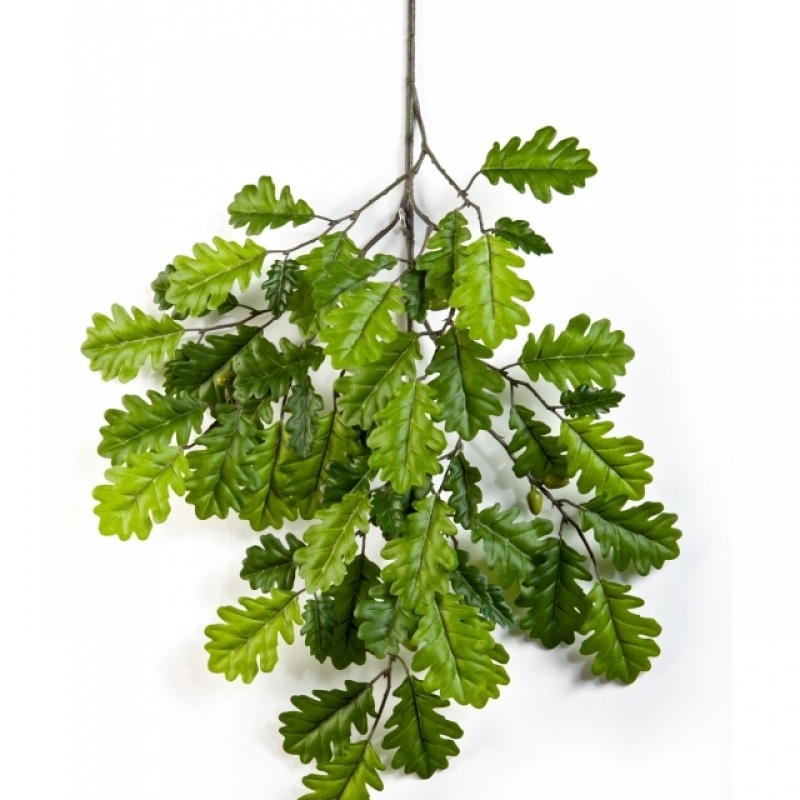 Flame Retardant Oak Spray with Fruits