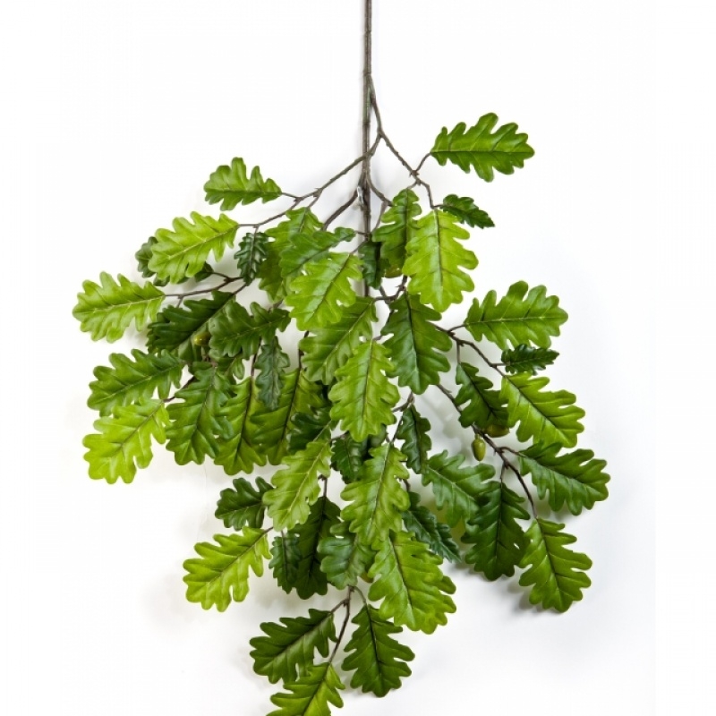 Flame Retardant Oak Spray with Fruits