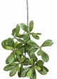 Flame Retardant Pittisporum Spray Light Green 40 cm