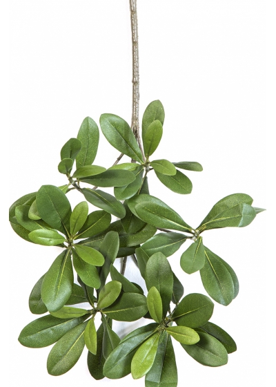 Flame Retardant Pittisporum Spray Light Green 40 cm