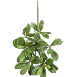 Flame Retardant Pittisporum Spray Light Green 40 cm