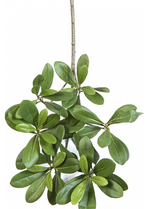Flame Retardant Pittisporum Spray Light Green 40 cm