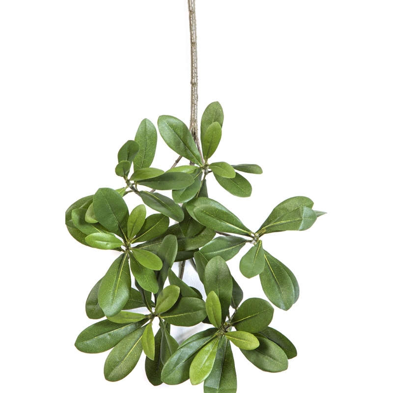 Flame Retardant Pittisporum Spray Light Green 40 cm