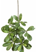 Flame Retardant Pittisporum Spray Light Green 40 cm
