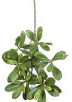 Flame Retardant Pittisporum Spray Light Green 40 cm