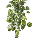 Flame Retardant Pothos Hanging Bush 70 cm