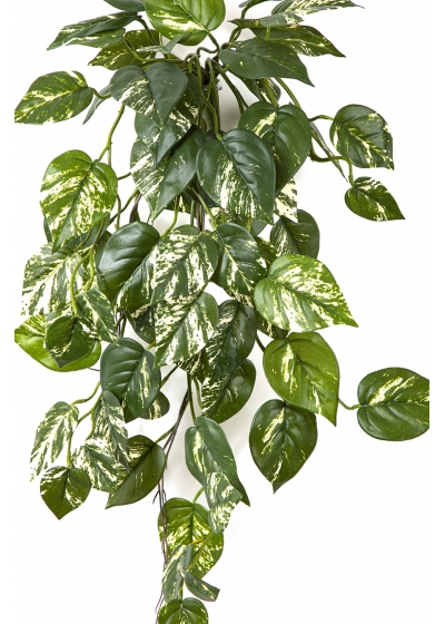 Flame Retardant Pothos Hanging Bush 70 cm