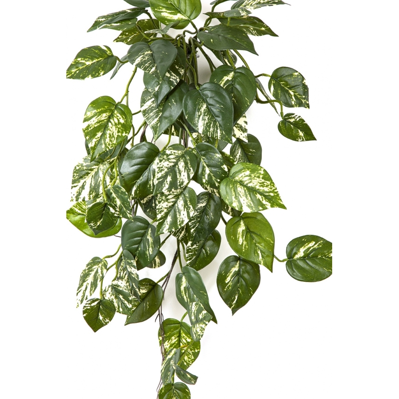 Flame Retardant Pothos Hanging Bush 70 cm