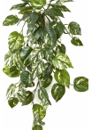 Flame Retardant Pothos Hanging Bush 70 cm