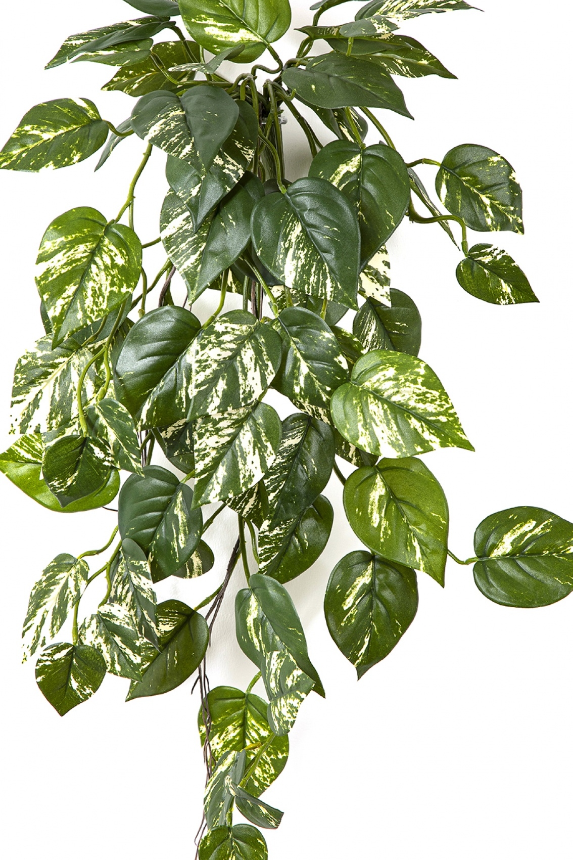 Flame Retardant Pothos Hanging Bush 70 cm