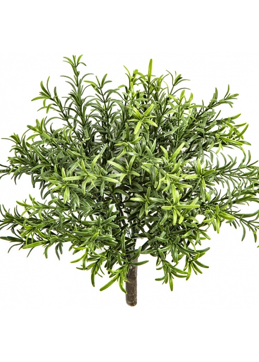 Flame Retardant Rosemary Bush 32 cm