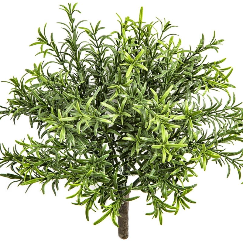 Flame Retardant Rosemary Bush 32 cm