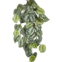 Flame Retardant Scindapsus Hanging Bush 70 cm