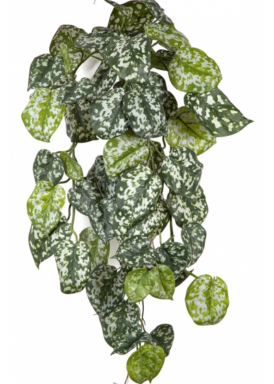 Flame Retardant Scindapsus Hanging Bush 70 cm