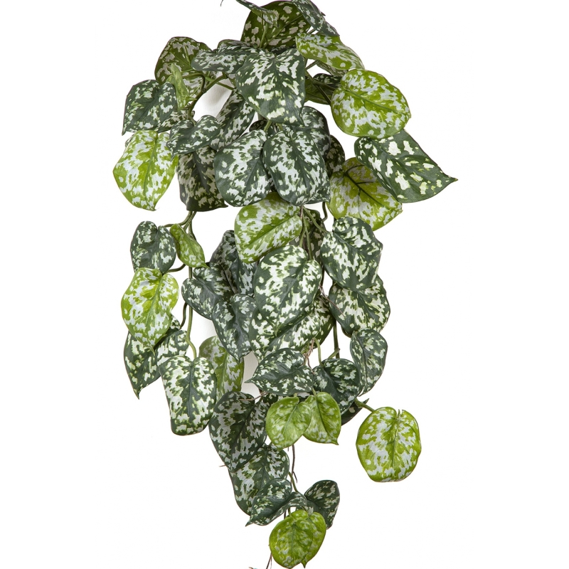 Flame Retardant Scindapsus Hanging Bush 70 cm
