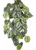 Flame Retardant Scindapsus Hanging Bush 70 cm