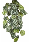 Flame Retardant Scindapsus Hanging Bush 70 cm