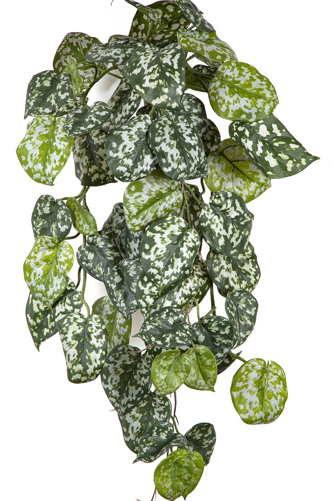 Flame Retardant Scindapsus Hanging Bush 70 cm