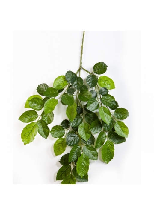 Flame retardant Beech spray