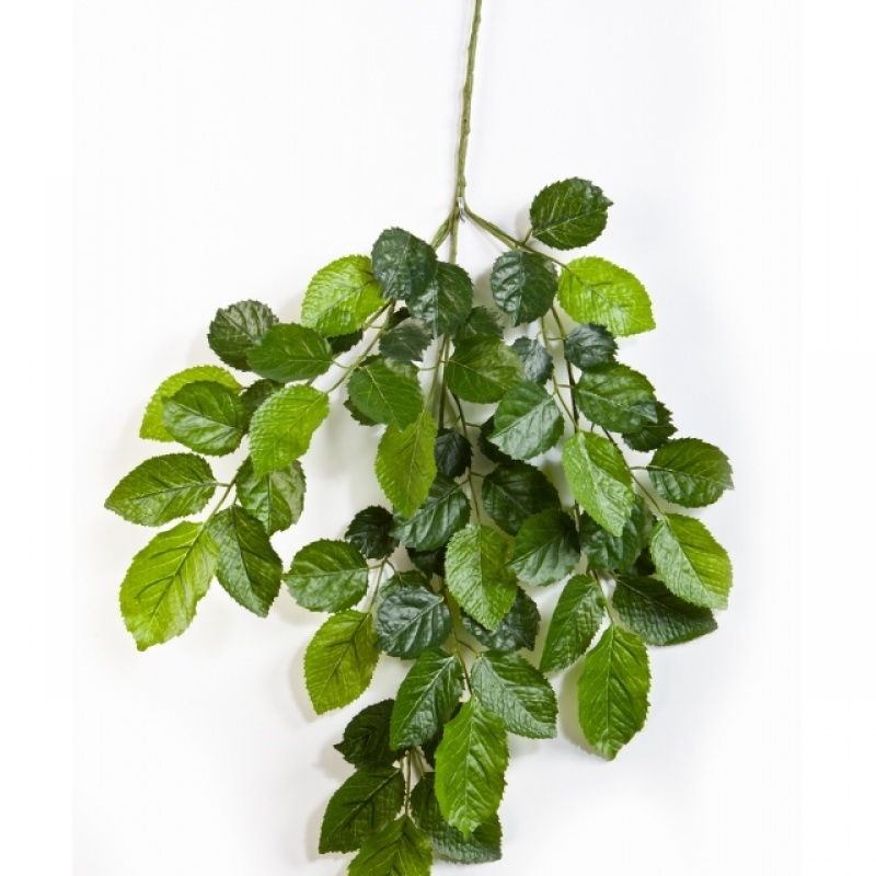 Flame retardant Beech spray