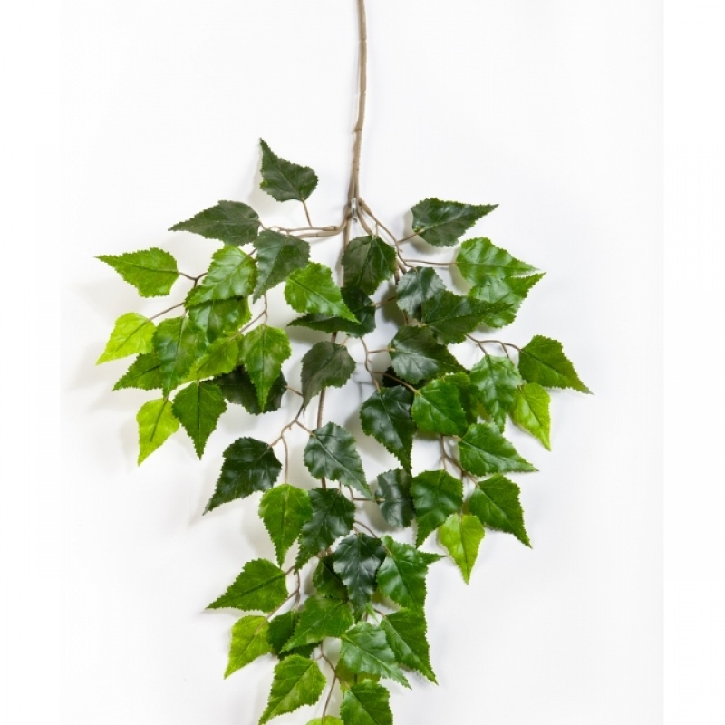 Flame retardant Birch spray