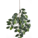 Flame retardant Camelia spray x 3 55 cm