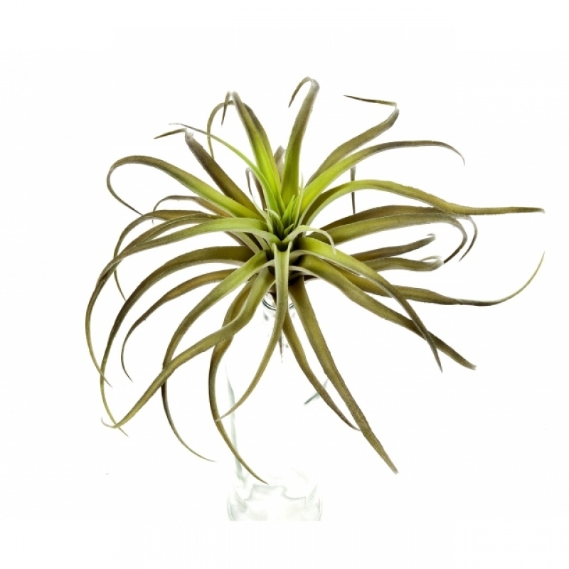 Flocked Tillandsia x 32 26 cm
